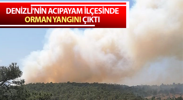 Acıpayam’da orman yangını