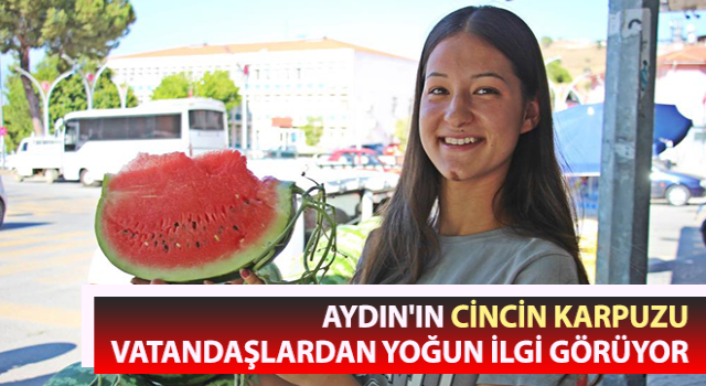 Adına şarkı yazılan Cincin Karpuzu yoğun ilgi görüyor