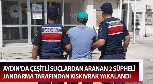 Aranan 2 şüpheli jandarma tarafından kıskıvrak yakalandı