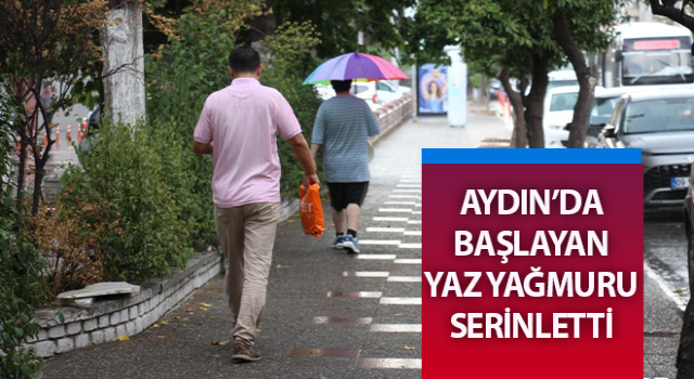 Aydın’da başlayan yaz yağmuru serinletti