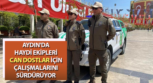 Aydın'da HAYDİ ekipleri can dostlar için çalışmalarını sürdürüyor