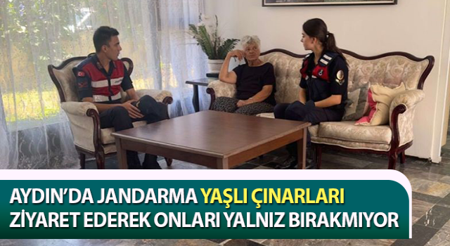 Aydın’da jandarma yaşlı çınarları unutmuyor