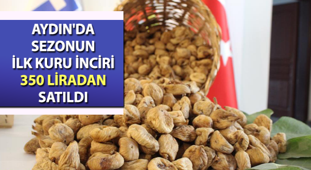 Aydın'da sezonun ilk kuru inciri 350 liradan satıldı