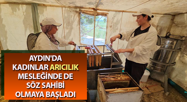 Aydınlı kadın arıcılar bal sağımına başladı