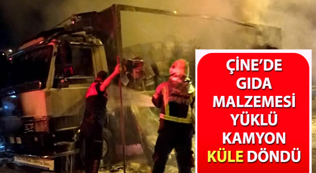 Gıda malzemesi yüklü kamyon küle döndü