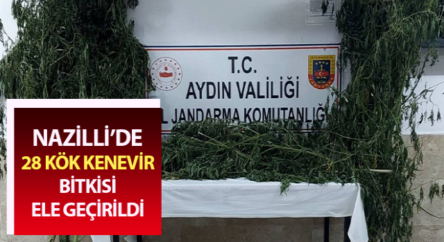 Nazilli’de uyuşturucu operasyonu