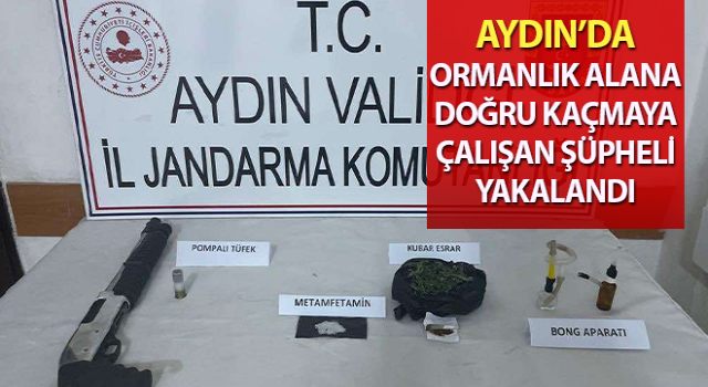 Ormanlık alana kaçarken jandarma yakaladı