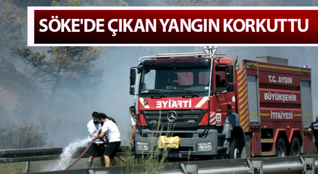 Söke'de çıkan yangın korkuttu