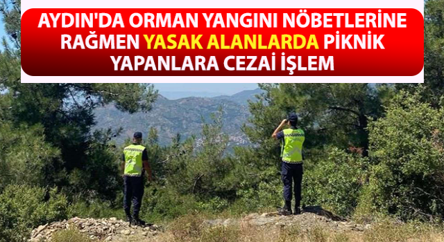 Yasaklı bölgede mangal sefası, jandarmanın radarına takıldı