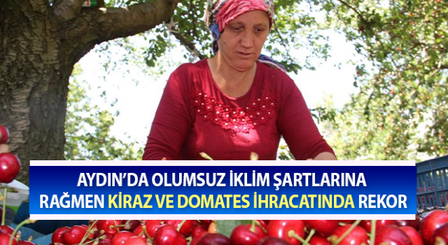 8 ayda sadece kiraz ve domateste 565 milyon liralık ihracat yapıldı