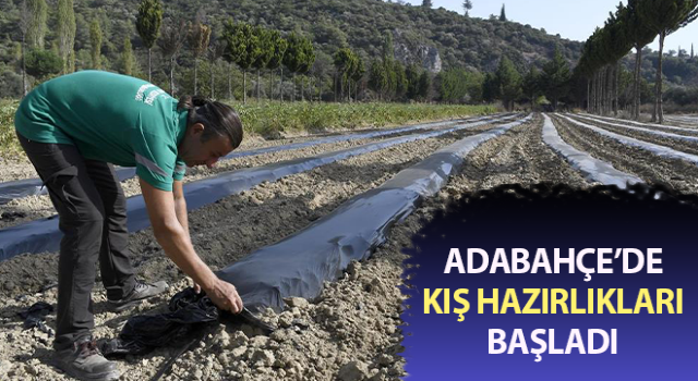 Adabahçe’de kış hazırlıkları başladı