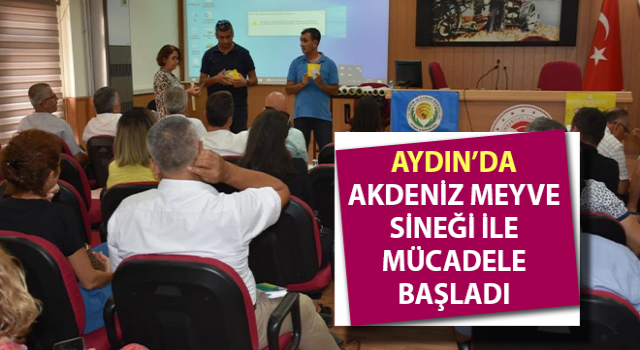 Aydın’da Akdeniz Meyve Sineği ile mücadele başladı