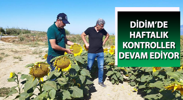 Aydın’da haftalık kontroller devam ediyor