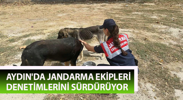 Aydın'da jandarma ekipleri denetimlerini sürdürüyor