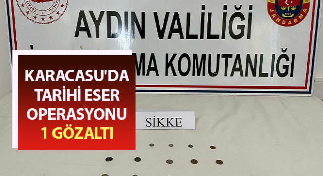 Aydın'da tarihi eser operasyonu: 1 gözaltı