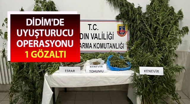 Aydın’da uyuşturucu operasyonu