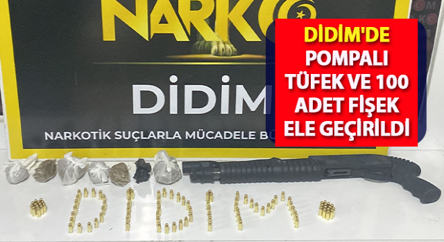 Didim'de pompalı tüfek ve 100 adet fişek ele geçirildi