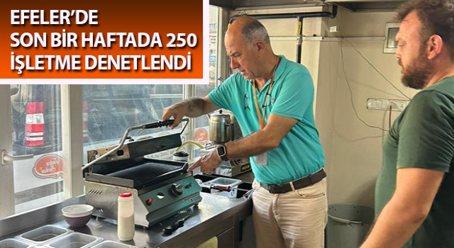 Efeler’de 250 işletme denetlendi