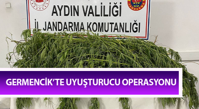 Germencik’te uyuşturucu operasyonu