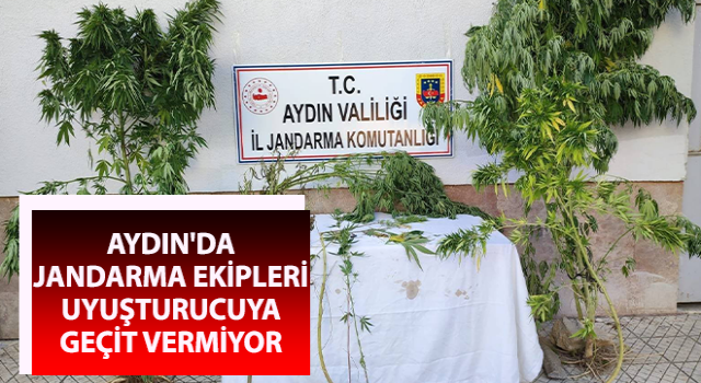 Jandarma uyuşturucuya geçit vermiyor