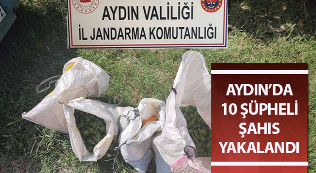 Jandarma’dan tarımsal ürün hırsızlığına geçit yok