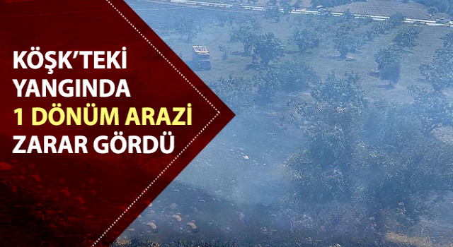 Köşk’teki 1 dönüm arazi zarar gördü