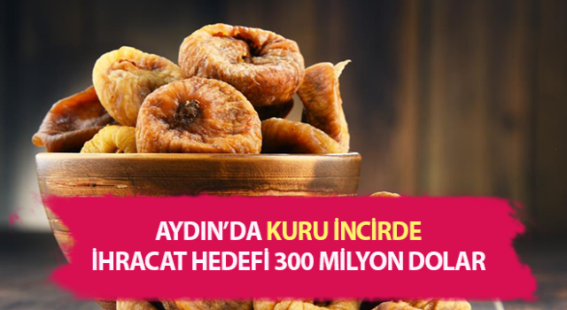 Kuru incirde ihracat hedefi 300 milyon dolar