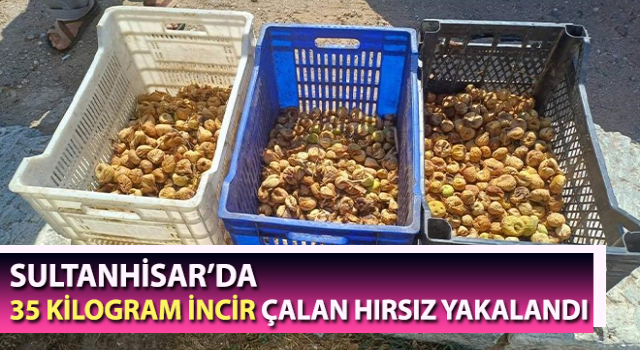 Sultanhisar’da incir hırsızı yakalandı