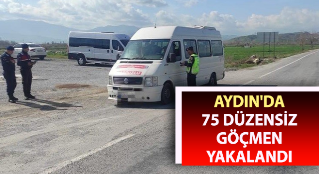 Aydın'da 75 düzensiz göçmen yakalandı