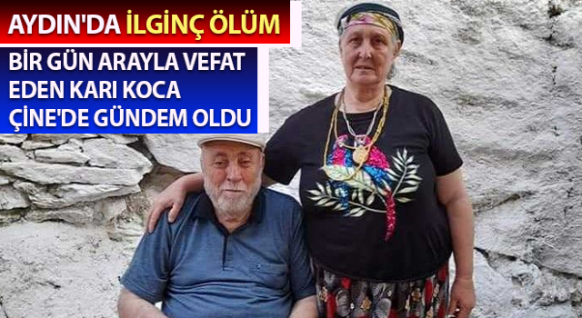 Aydın'da ilginç ölüm