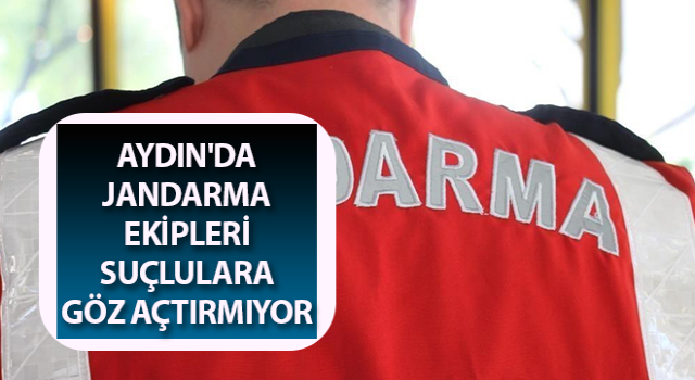 Aydın'da jandarma ekipleri göz açtırmıyor