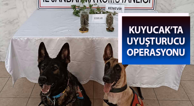 Aydın’da uyuşturucu operasyonu