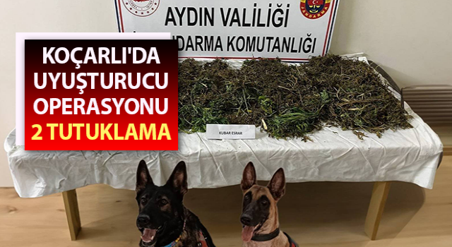 Aydın'da uyuşturucu operasyonu