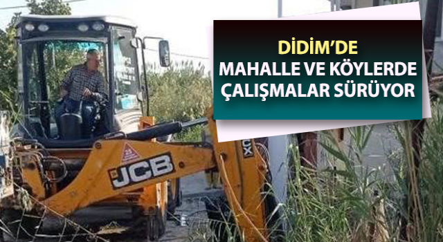 Balat Mahallesi’nde temizlik çalışmaları sürüyor