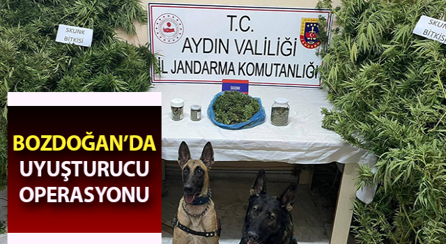 Bozdoğan’da uyuşturucu operasyonu