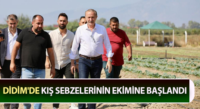 Didim'de kış sebzelerinin ekimine başlandı