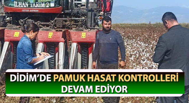 Didim’de pamuk hasat kontrolleri devam ediyor