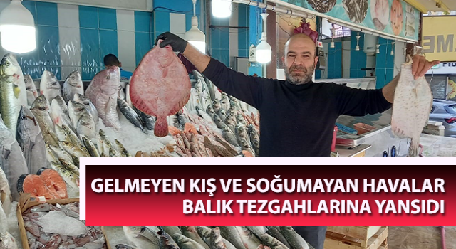 Ege’de yaz gitmeyince balıklar da gelmedi