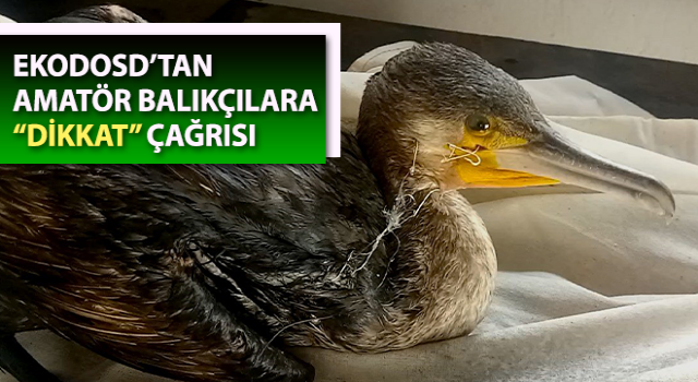 EKODOSD’tan amatör balıkçılara “dikkat” çağrısı