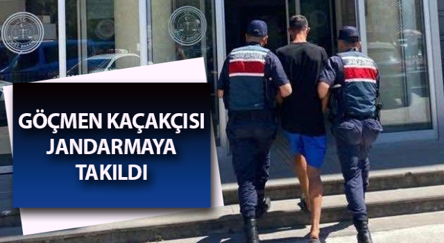 Göçmen kaçakçısı jandarmaya takıldı