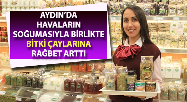 Havalar soğudu kış çayına rağbet arttı