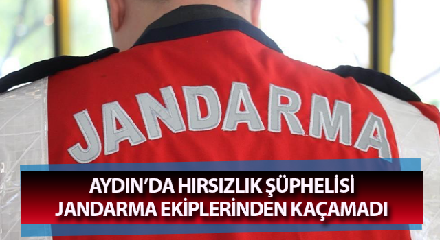 Hırsızlık şüphelisi jandarma ekiplerinden kaçamadı