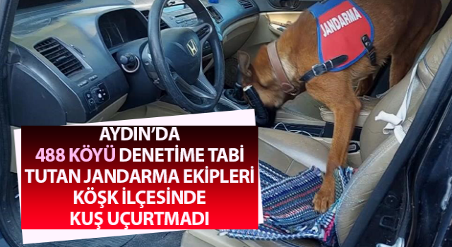 Jandarma Aydın’da kuş uçurtmuyor