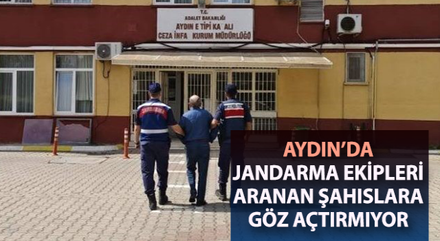 Jandarma ekipleri aranan şahıslara göz açtırmıyor