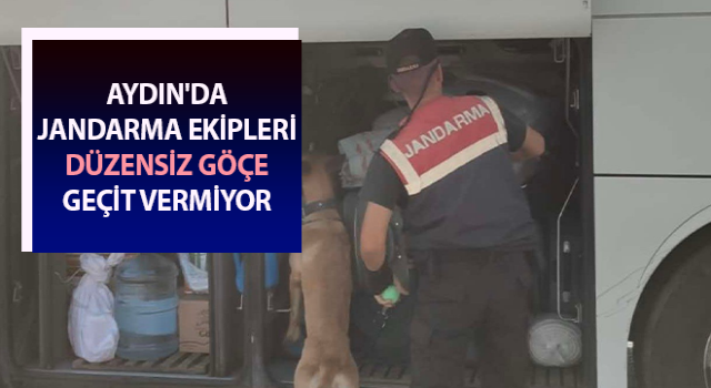 Jandarma ekipleri düzensiz göçe geçit vermiyor