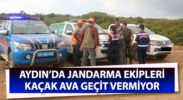 Jandarma ekipleri kaçak ava geçit vermiyor