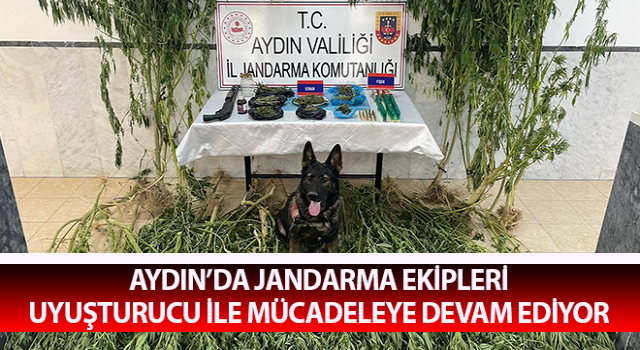 Jandarma uyuşturucu ile mücadeleye devam ediyor