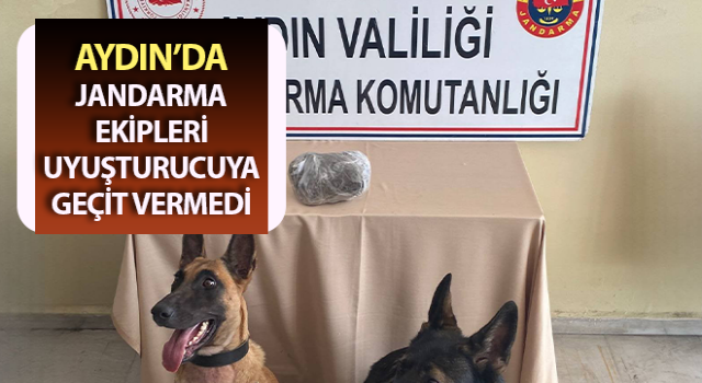 Jandarmanın hassas burunları uyuşturucuya geçit vermedi