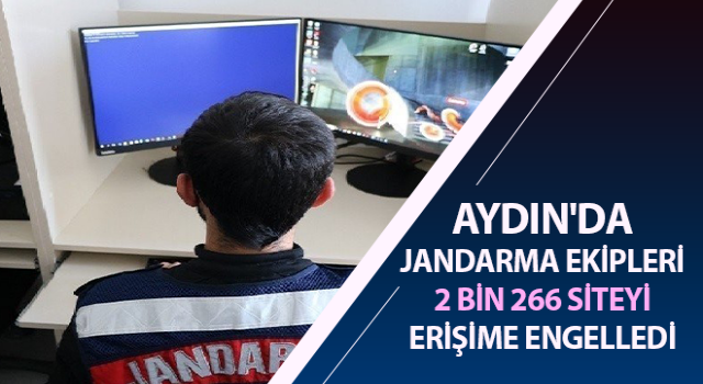 Jandarmanın sanal devriyesi, suçlulara göz açtırmıyor