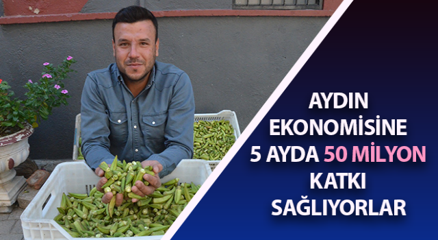 Kent ekonomisine 50 milyon TL katkı sağlıyor